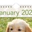 AT-A-GLANCE® 2026 Puppies Monthly Wall Calendar, Large, 15 1/2" x 22 3/4" thumbnail images 5 of 7