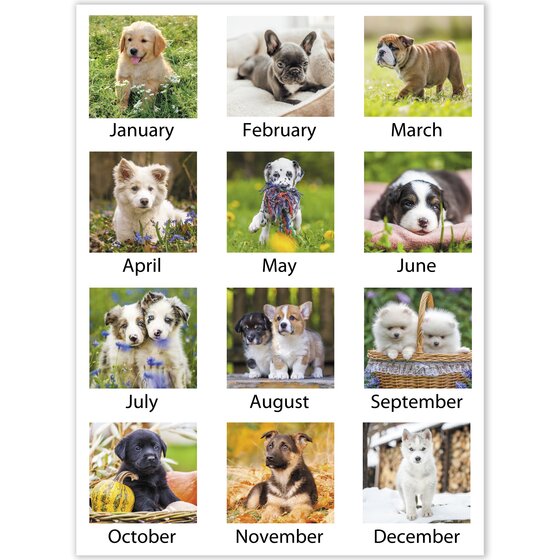 AT-A-GLANCE® 2026 Monthly Wall Calendar, Medium, 15" X 12" | Monthly