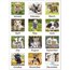 AT-A-GLANCE® 2026 Puppies Monthly Wall Calendar, Large, 15 1/2" x 22 3/4" thumbnail images 4 of 7