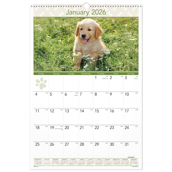 ATAGLANCE® 2026 Puppies Monthly Wall Calendar, Large, 15 1/2" x 22 3/