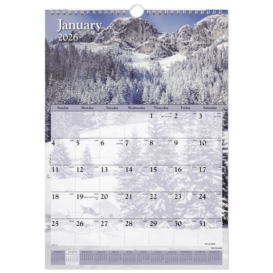 ATAGLANCE® 2026 Scenic Monthly Wall Calendar, Medium, 12" x 17