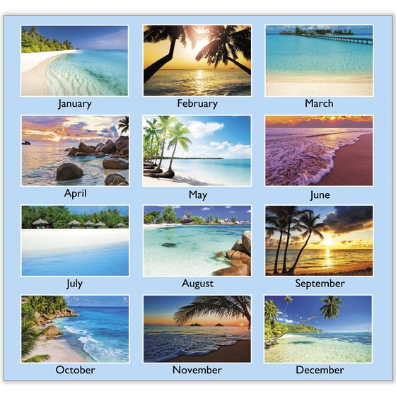 ATAGLANCE® 2026 Tropical Escape Monthly Wall Calendar, Medium, 15" x