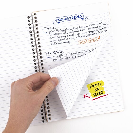 Large Product Image 2
