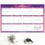 Mead Cambridge® Filbert 2026-2027 Erasable Wall Calendar, Reversible Academic Year/Regular Year, Extra Large, 24" x 36" thumbnail images 2 of 6