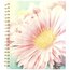 Mead® Aster Notebook, 80 Sheets, Hardcover, Medium, 8" x 10" thumbnail images 1 of 6
