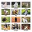 AT-A-GLANCE® 2027 Puppies Monthly Wall Calendar, Large, 15 1/2" x 22 3/4" thumbnail images 4 of 5
