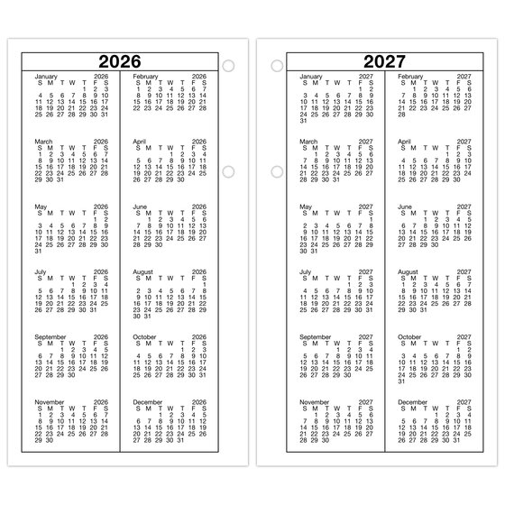 AT-A-GLANCE® 2027 Daily Loose-Leaf Desk Calendar Refill, Standard, 4 1/ ...