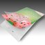GBC® EZUse™ UV Thermal Laminating Pouches, Letter Size, 5 mil, 100 Pack thumbnail images 2 of 7