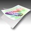 GBC® Thermal Laminating Pouches, Letter Size, 5 mil, 100 Pack thumbnail images 2 of 6
