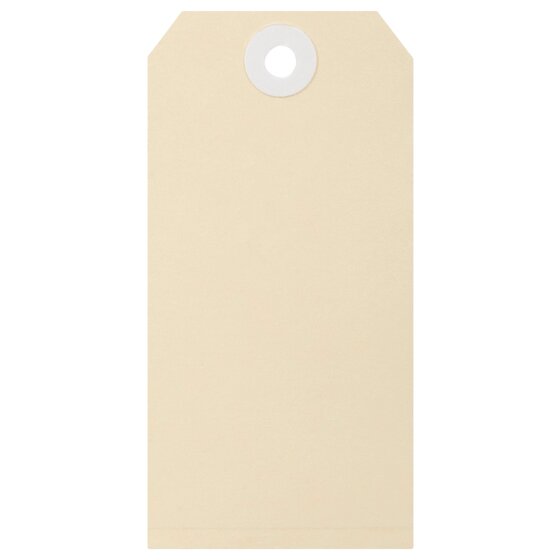 Esselte Shipping Tags No.4 – 54 x 108 mm, Buff, Box of 1000