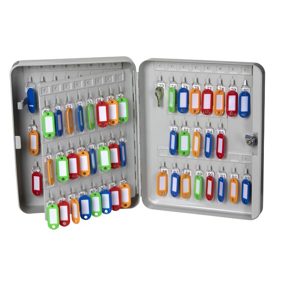 ESSELTE Key Cabinet Grey – 93 Keys, Wall-Mounted with Secured Lock