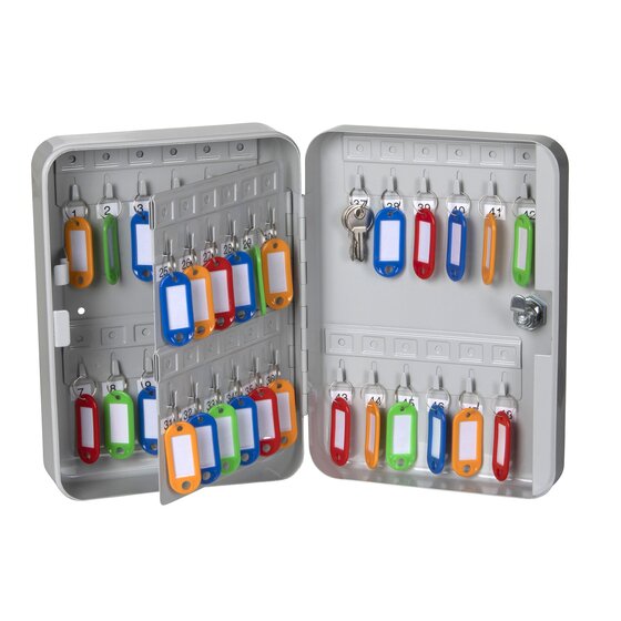 ESSELTE Key Cabinet Grey – 48 Keys, Wall-Mounted with Lock & Colourful Tags