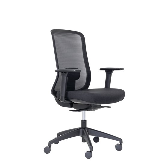 Buro Elan Ergonomic Office Chair with Arms – Black