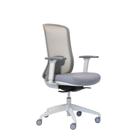 Buro Elan Ergonomic Office Chair with Arms – Light Grey