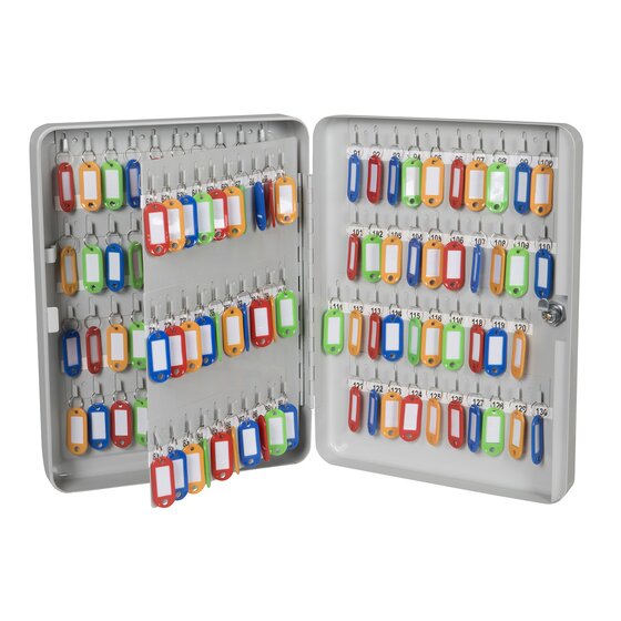 ESSELTE Key Cabinet Grey – 140 Keys, Wall-Mounted with Lock & Colour Tags