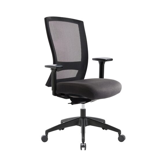 Buro Mentor Mesh Chair with Arms – SafeTex Charcoal | Dynamic Intelligence™ | Nylon Base