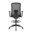 Product Image Thumbnail 4