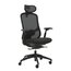 Product Image Thumbnail 6